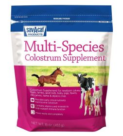 Ultra Start Multi Colostrum Supplement 16 oz